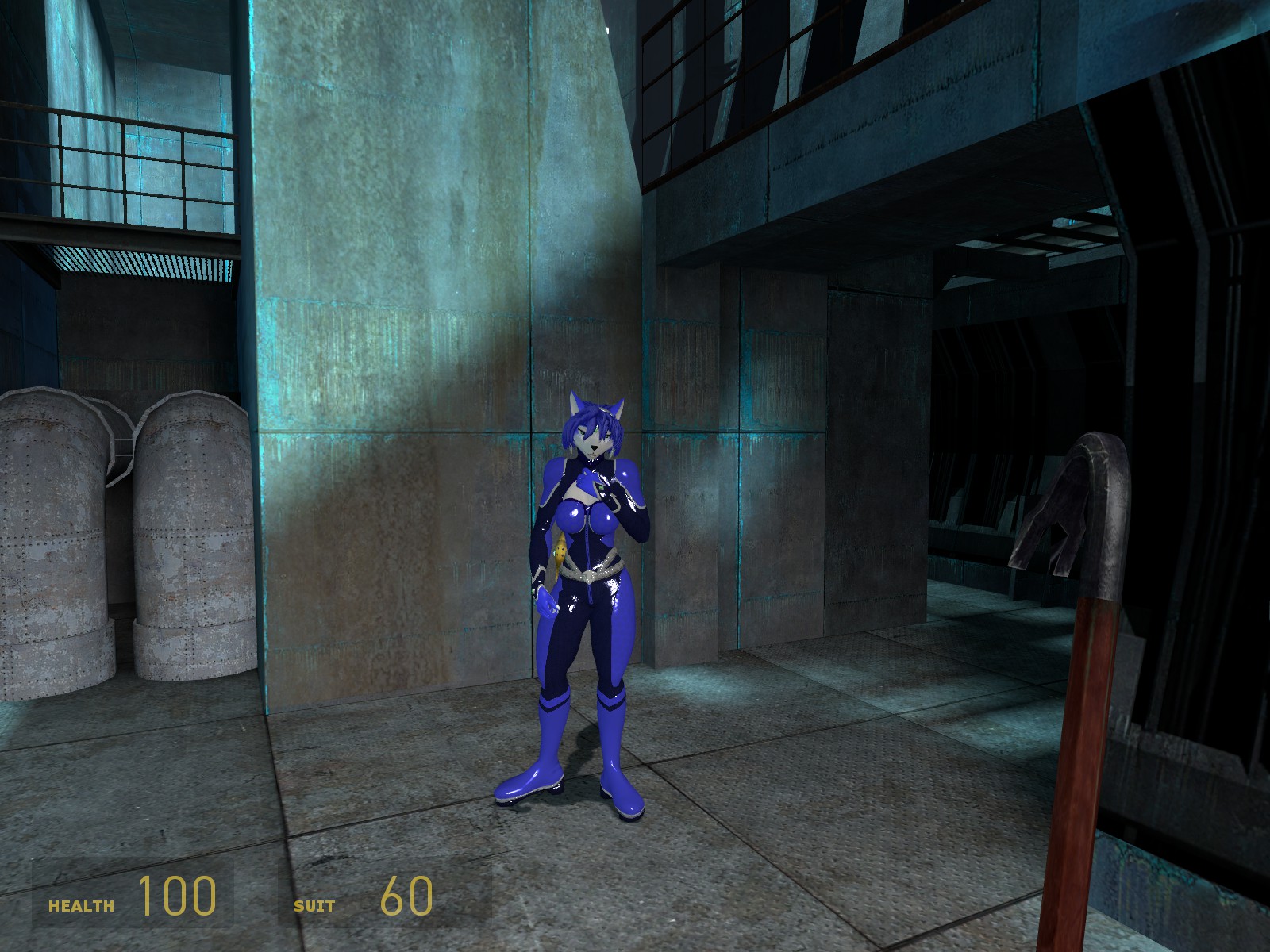 Half-Life 2 Mod Swaps Alyx for Star Fox Adventures' Krystal and Her  Original Voice Actress